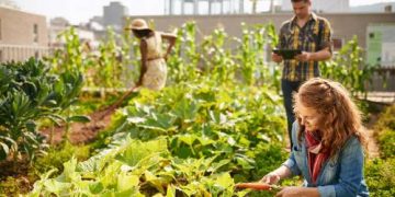 Huerto Urbano: ¿Cómo y por qué empezar a cultivar en casa?