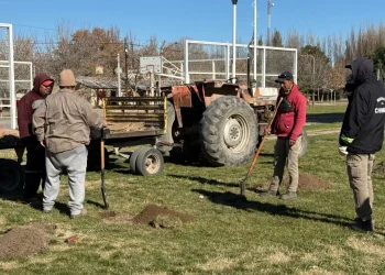 Chimpay comenzó a mejorar los espacios públicos con el bono petrolero