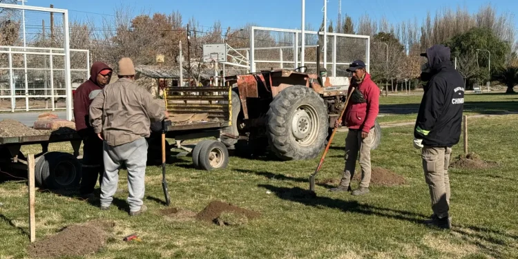 Chimpay comenzó a mejorar los espacios públicos con el bono petrolero