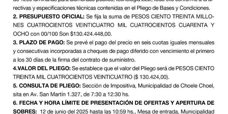CHOELE CHOEL: Llamado a licitación publica N° 02/2025