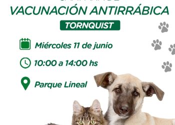TORNQUIST: El miércoles 11 habrá vacunación antirrábica
