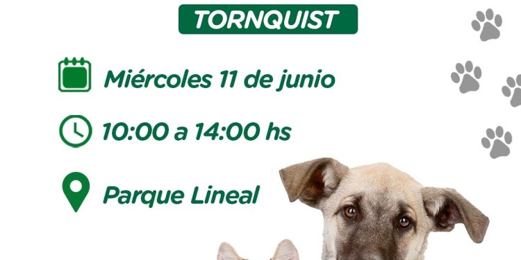 TORNQUIST: El miércoles 11 habrá vacunación antirrábica