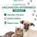 TORNQUIST: El miércoles 11 habrá vacunación antirrábica