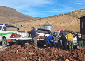 RIO NEGRO: Comenzó la entrega de leña del Plan Calor en la Región Sur