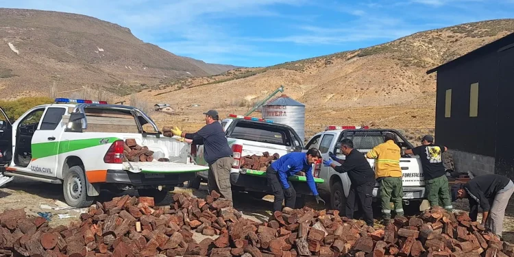 RIO NEGRO: Comenzó la entrega de leña del Plan Calor en la Región Sur
