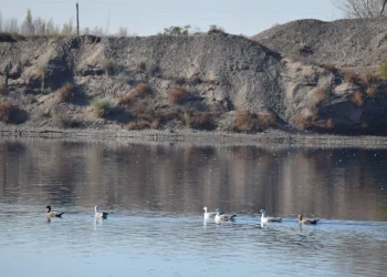 Río Negro: conservación de humedales para combatir desertificación y sequía