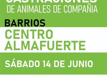 CHOELE CHOEL: Castración de mascotas