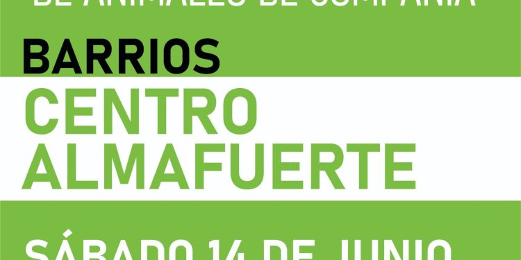 CHOELE CHOEL: Castración de mascotas