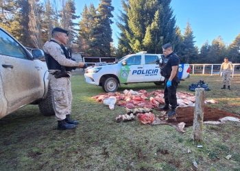 La Policía detuvo a un sujeto que huyó de un control vial e intimidó al personal con un cuchillo