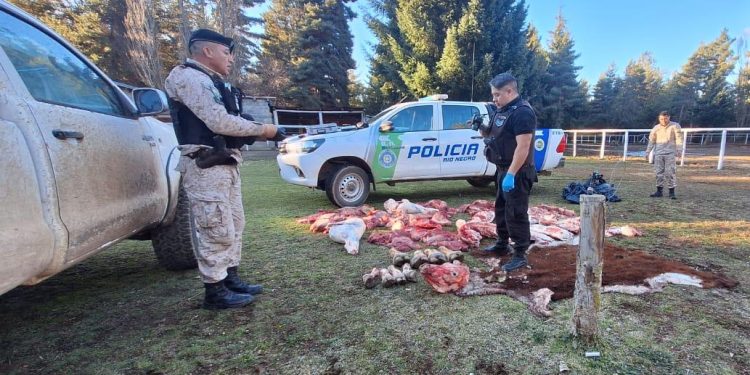 La Policía detuvo a un sujeto que huyó de un control vial e intimidó al personal con un cuchillo