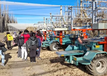 Poda en Valle Medio: plataformas automáticas y más empleo para mujeres