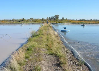 Cinco nuevas obras para mejorar el acceso al agua y al saneamiento