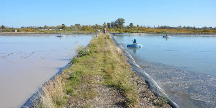 Cinco nuevas obras para mejorar el acceso al agua y al saneamiento  El Gobierno de Río Negro, con financiamiento de la CAF y a través del Departamento Provincial de Aguas (DPA) licitará en los próximos meses cinco obras para mejorar el abastecimiento de agua potable, los sistemas cloacales y el drenaje pluvial en distintas localidades de la provincia.