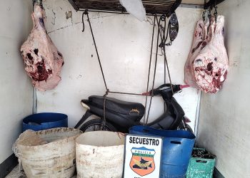 CHOELE CHOEL: Seguridad Vial «Decomisan carne por no reunir condiciones higiénicas»