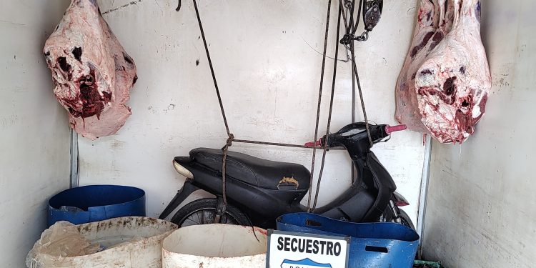 CHOELE CHOEL: Seguridad Vial «Decomisan carne por no reunir condiciones higiénicas»  Unos 130 kilos de carne vacuna fueron decomisados e incinerados por la unidad de seguridad vial de la policía de Río Negro en Choele Choel, como consecuencia de haberse detectado que era transportada en condición insalubre.