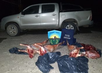 RIO COLORADO: B.R. decomisó carne transportada sin cumplir medidas sanitarias