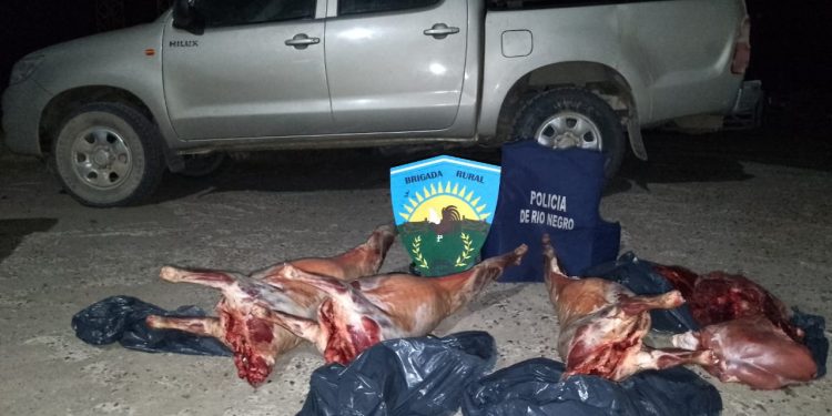 RIO COLORADO: B.R. decomisó carne transportada sin cumplir medidas sanitarias  Personal de la Brigada Rural de Río Colorado, decomisó productos cárnicos que eran transportados en una camioneta no habilitada y que carecía de las condiciones sanitarias requeridas.