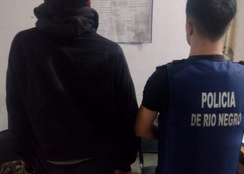 CHOELE CHOEL: La Policía detuvo a un hombre cuando intentaba robar la batería de un camión