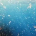 MUNDO: Científicos alertan por las dificultades del acuerdo global para combatir la contaminación por plásticos