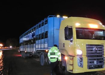 CHICHINALES: Policía retiene un camión con pedido de secuestro vigente