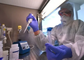 NACIONALES: El Covid «Frankenstein» se detectó cerca de Argentina: dónde circula y de qué se trata