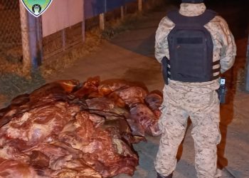 GENERAL ROCA: Decomisan 450 kilos de carne de faena clandestina de equino