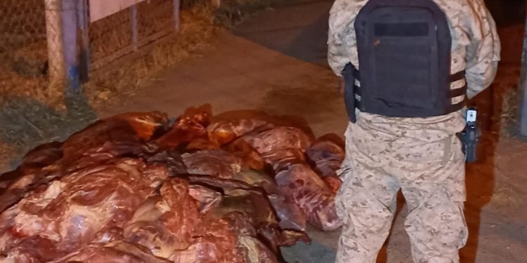 GENERAL ROCA: Decomisan 450 kilos de carne de faena clandestina de equino  La Brigada Rural de General Roca realizó un operativo, el jueves por la noche, en Ruta 07 donde identificó una camioneta Toyota Hilux que circulaba con varios bultos tapados con nylon en la caja. Al realizar una inspección con autorización del conductor se reveló que transportaba carne suelta y fraccionada en bolsas de nylon, proveniente de faena clandestina de equino.