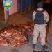 GENERAL ROCA: Decomisan 450 kilos de carne de faena clandestina de equino