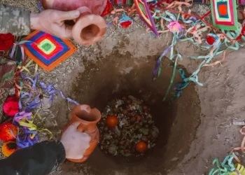 Día de la Tierra: Río Negro refuerza su compromiso con acciones concretas