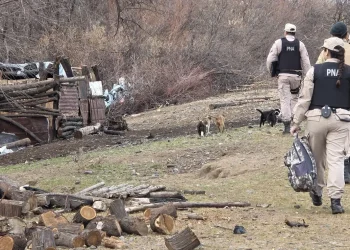 Rescatan a una víctima de explotación laboral en una isla del río Negro