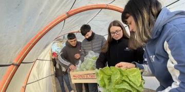 LUIS BELTRAN: Estudiantes entregaron verduras a comedores de residencias