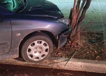 LUIS BELTRAN: Un auto terminó contra uno de los árboles de la Plaza 9 de Julio