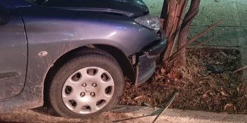 LUIS BELTRAN: Un auto terminó contra uno de los árboles de la Plaza 9 de Julio