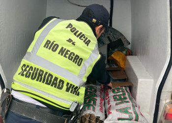 POMONA: Decomisan calamares sin las condiciones sanitarias correspondientes
