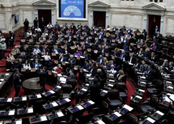 NACIONALES: Tras los vetos, Diputados vuelve a la carga con una agenda que confronta con Casa Rosada