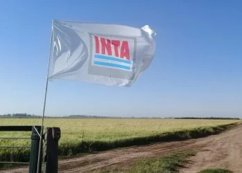 NACIONALES: El Gobierno pasó a disponibilidad a más de 300 empleados del INTA, INASE e INV