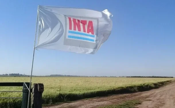NACIONALES: El Gobierno pasó a disponibilidad a más de 300 empleados del INTA, INASE e INV  La medida se tomó pese al rechazo del Senado al decreto que reestructuraba varios organismos estatales.