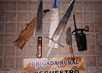 LAMARQUE/POMONA: Policía secuestró cuchillos y Handy en actuación por infracción a ley de fauna