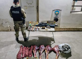 Caza ilegal: secuestran arma, municiones y carne de guanaco en operativo rural