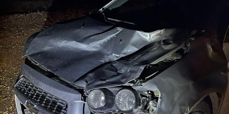 POMONA: Siniestro vial ocurrido a unos 20 kilómetros de esa localidad sobre Ruta Provincial N° 4  En la noche de éste viernes, minutos antes de las 21:30 horas,  personal policial del Destacamento Vial de Pomona tomó conocimiento de un siniestro vial ocurrido a unos 20 kilómetros de esa localidad sobre Ruta Provincial N° 4, a la altura del primer guarda ganado.