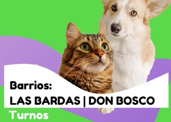 CHOELE CHOEL: Castraciones gratuitas barrios LAS BARDAS y DON BOSCO para nuestros animales de compañía.