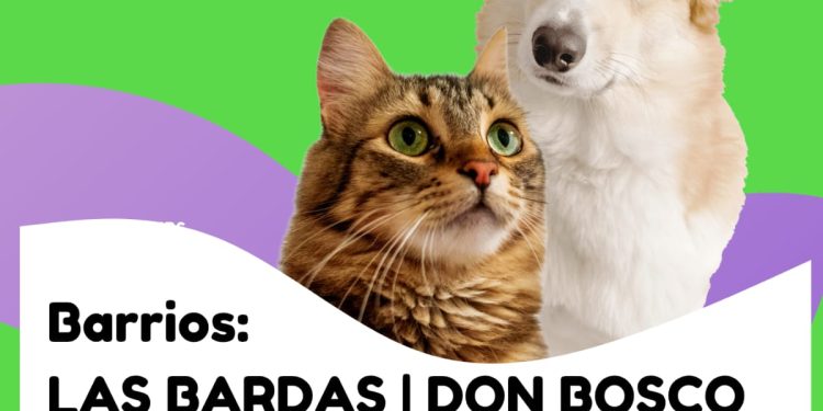 CHOELE CHOEL: Castraciones gratuitas barrios LAS BARDAS y DON BOSCO para nuestros animales de compañía.  Sábado 13 de septiembre. Inscribite al 2984229902 de 8 a 12 de lunes a jueves. Y como siempre, te pedimos por favor que utilices el turno que te tocó y la posibilidad de realizar está intervención.