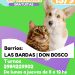 CHOELE CHOEL: Castraciones gratuitas barrios LAS BARDAS y DON BOSCO para nuestros animales de compañía.