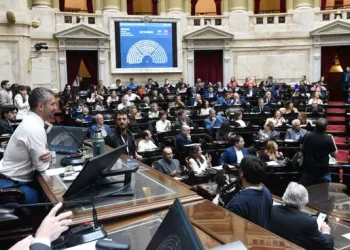 NACIONALES: En plena discusión presupuestaria, Diputados buscan revertir vetos de Javier Milei por universidades y salud pediátrica