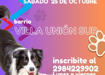 CHOELE CHOEL: Continúa el programa de castraciones gratuitas en los barrios de Choele