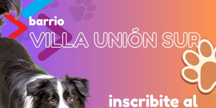 CHOELE CHOEL: Continúa el programa de castraciones gratuitas en los barrios de Choele  La Municipalidad de Choele Choel, a través del área de Zoonosis, continúa desarrollando el programa de castraciones gratuitas de animales de compañía, que semana a semana recorre distintos sectores de la ciudad con el objetivo de promover el cuidado responsable y la salud animal.