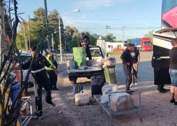 RIO COLORADO: Decomisan 350 kilos de pescado sin cadena de frío llevados en  transporte de pasajeros