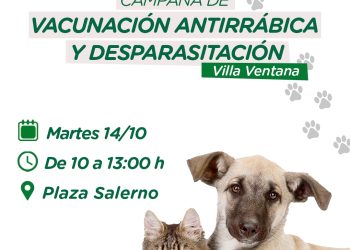 VILLA VENTANA: Campaña de vacunación antirrábica y desparasitación