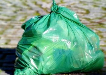 TORNQUIST:  La recolección de la bolsa verde se traslada a los jueves