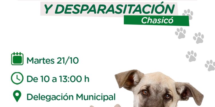 CHASICO: Habrá una jornada de vacunación antirrábica  La Subsecretaría de Bromatología y Zoonosis de Tornquist brindará vacunas antirrábicas y desparasitarios de manera gratuita en Chasicó, el próximo martes 21 de octubre.